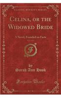 Celina, or the Widowed Bride, Vol. 3 of 3: A Novel, Founded on Facts (Classic Reprint)