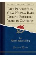 Life Processes in Gray Norway Rats During Fourteen Years in Captivity (Classic Reprint)