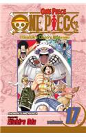 One Piece, Vol. 17