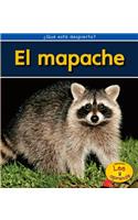 El Mapache