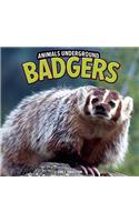 Badgers
