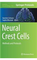 Neural Crest Cells: Methods and Protocols