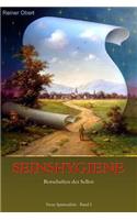 Seinshygiene: Botschaften des Selbst(Neue Spiritualität)