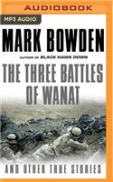 Three Battles of Wanat