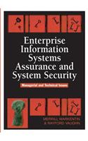 Enterprise Information Systems Assurance and System Security