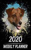 2020 Weekly Planner: Weekly & Monthly 2020 Planner Jan 1 2020 to Dec 31 2020 With Calendar Views, 1 Year Planner + Important Holiday Dates, Jack Russell Terrier Dog Cove