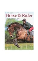Complete Horse and Rider