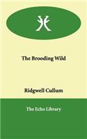 The Brooding Wild