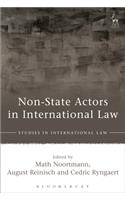 Non-State Actors in International Law