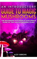 Introductory Guide to Magic Mushrooms