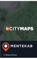 City Maps Mentekab Malaysia