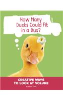 How Many Ducks Could Fit in a Bus?