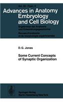 Some Current Concepts of Synaptic Organization