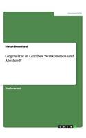 Gegensätze in Goethes Willkommen und Abschied