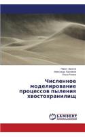 Chislennoe modelirovanie protsessov pyleniya khvostokhranilishch