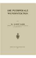 Die Puerperale Wundinfektion