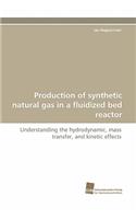 Production of Synthetic Natural Gas in a Fluidized Bed Reactor