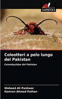 Coleotteri a pelo lungo del Pakistan