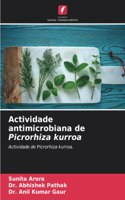 Actividade antimicrobiana de Picrorhiza kurroa