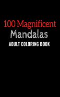 100 Magnificent Mandalas