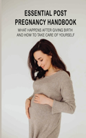 Essential Post-Pregnancy Handbook: What Happens After Giving Birth And How To Take Care Of Yourself: How To Make Your Postpartum Healthy And Enjoyable