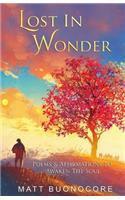 Lost In Wonder