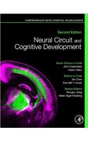 Neural Circuit and Cognitive Development