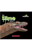 The Slime Book (Side by Side)