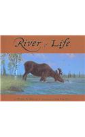 River of Life