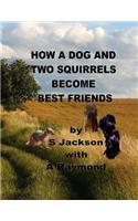 How a Dog and Two Squirrels Become Best Friends