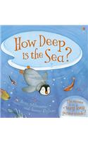 How Deep Is the Sea? [With Poster]