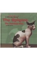 The Sphynx - the Hairless Cat