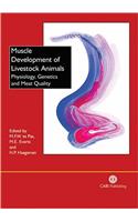 Muscle Development of Livestock Animals