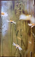 AA Book of the British Countryside