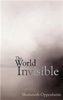 World Invisible