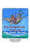 The Adventures of Trina and the Great Barrett: A Rousing Tale with Black and White Illustrations by the Author