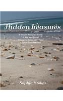 Hidden Treasure