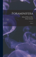 Foraminifera