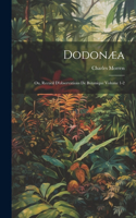 Dodonæa