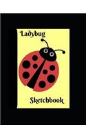 Ladybug Sketchbook