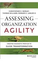 Assessing Organization Agility: Creating Diagnostic Profiles to Guide Transformation