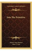 Into the Primitive