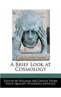 A Brief Look at Cosmology