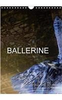 Ballerine 2018