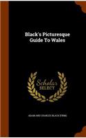 Black's Picturesque Guide To Wales