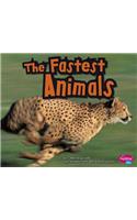 The Fastest Animals