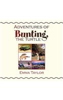 Adventures of Bunting, the Turtle: (English)