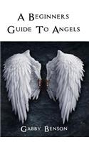 Beginners Guide to Angels