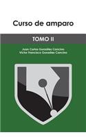 Curso de Amparo: Tomo II