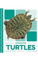 Turtles